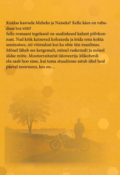 "Saada meheks" tagakaas
